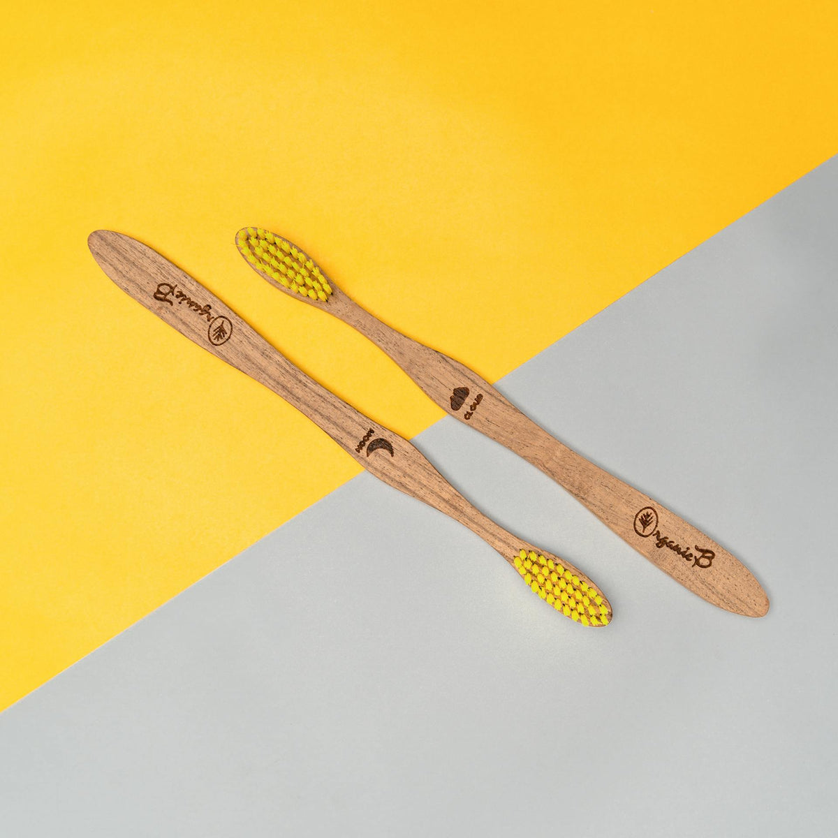 Interdental Brushes